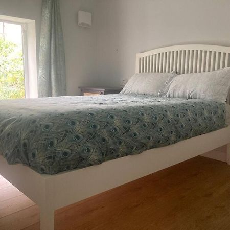 Bijou Mews In The Victorian Q Apartment Cork Ngoại thất bức ảnh